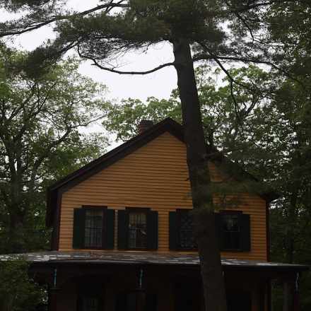 Hilltop Cottage
